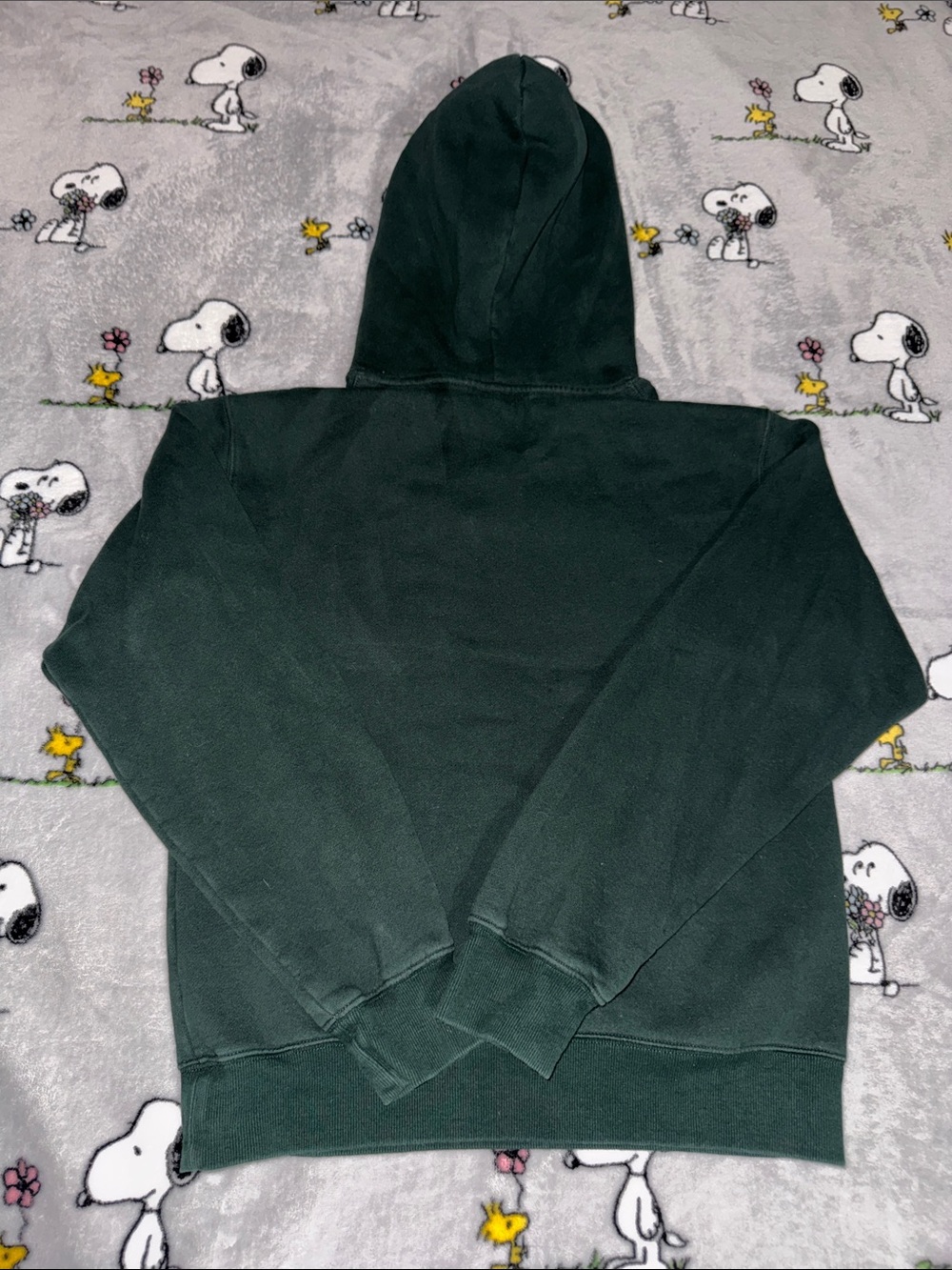 Aritzia Dark Green Hoodie - Picture 4 of 5